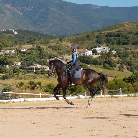 ベッド・アンド・ブレックファスト Les Chevaux De Coeur エステポナ