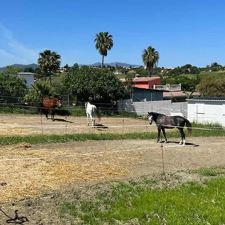 ベッド・アンド・ブレックファスト Les Chevaux De Coeur エステポナ